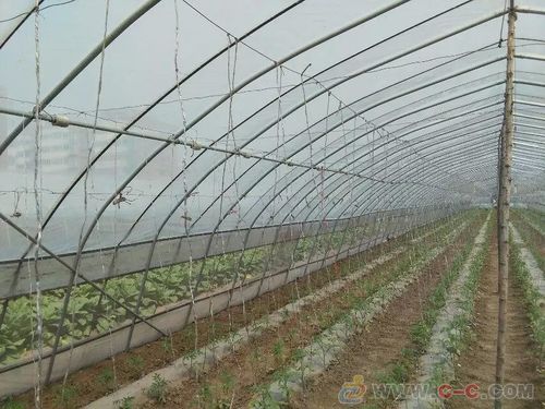北京冬暖式温室蔬菜大棚建设,冬暖式大棚设计